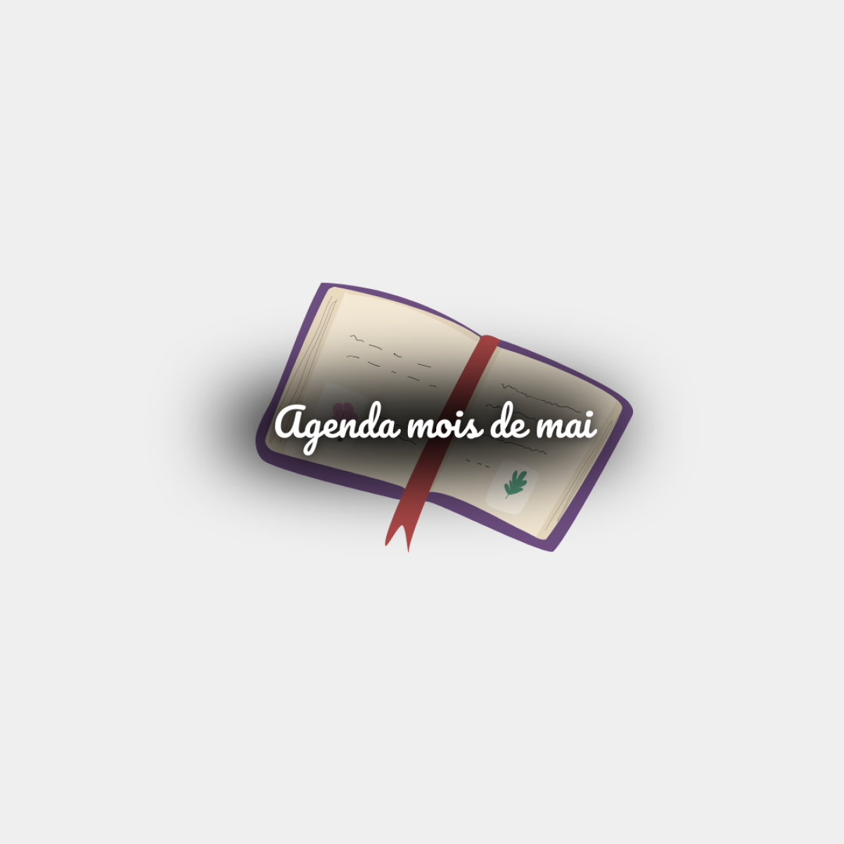 IMAGE  (1).png